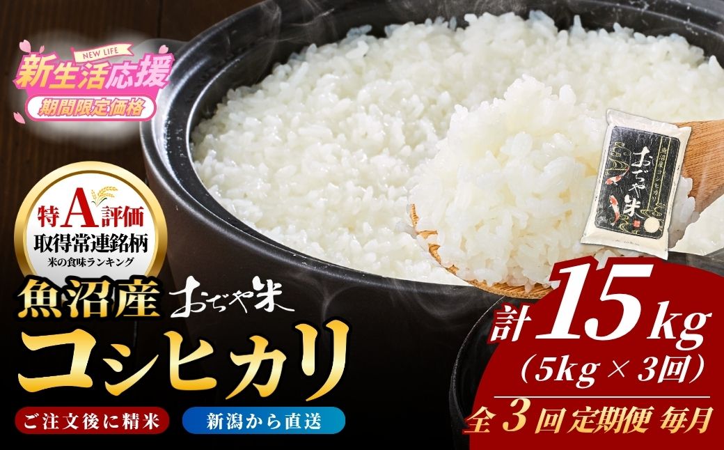 令和7年産魚沼産コシヒカリ定期便 5kg×3回（毎月お届け）（3か月連続お届け）JA魚沼