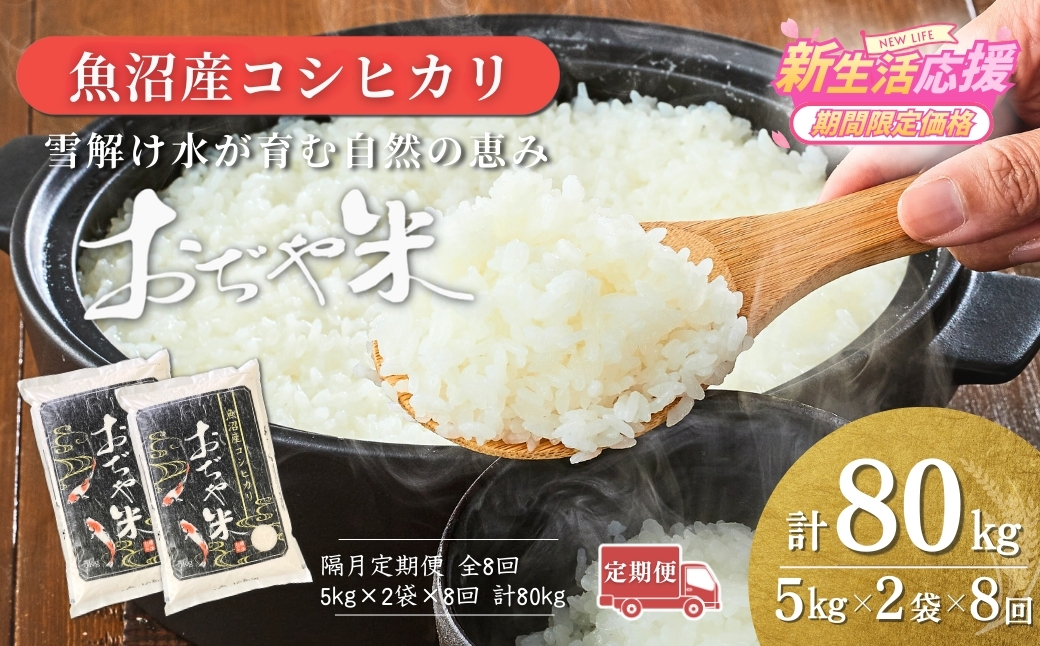 令和7年産 新潟県 魚沼産コシヒカリ「おぢや米」合計80kg(5kg×2袋×毎月お届け全8回)  JA魚沼【0002-JA19DB00-02】