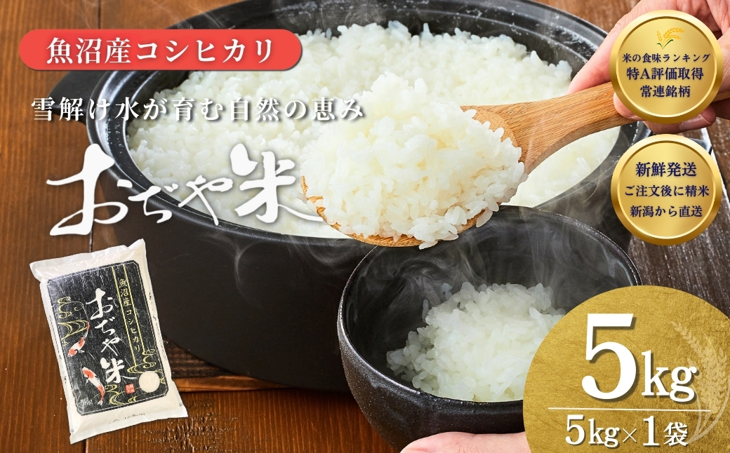 令和7年産 魚沼産コシヒカリ 5kg JA魚沼