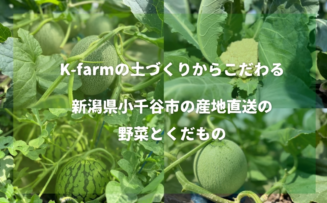 【先行予約 数量限定】K-farmのおまかせメロン2玉 【0054-0001-02】