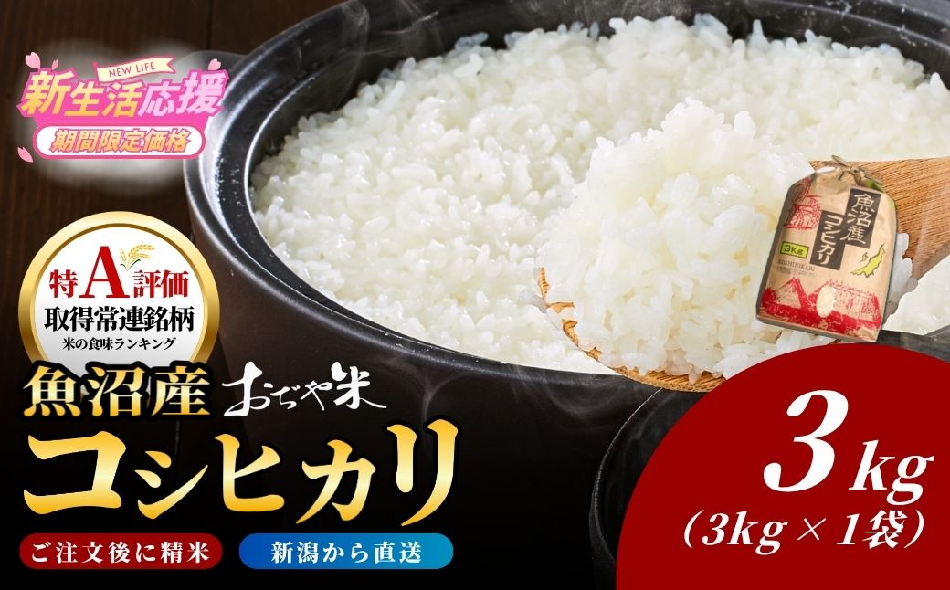 令和7年産 魚沼産コシヒカリ「おぢや米」 計3kg（3kg×1袋） クラフト袋 JA魚沼【0002-JA12-01】