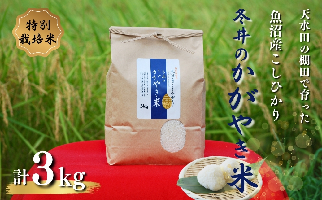 【数量限定】 令和7年産 特別栽培米 魚沼産コシヒカリ「冬井のかがやき米」 3kg(3kg×1袋) 甘み 粘り アスカ冬井 【0002-0001-02】