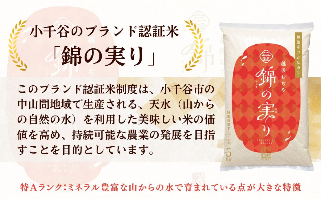 令和7年産 魚沼産コシヒカリ 小千谷市ブランド認証米「錦の実り」特Aランク ブルーインパルスラベル 精米4kg（2kg2袋セット）【0002-0447】
