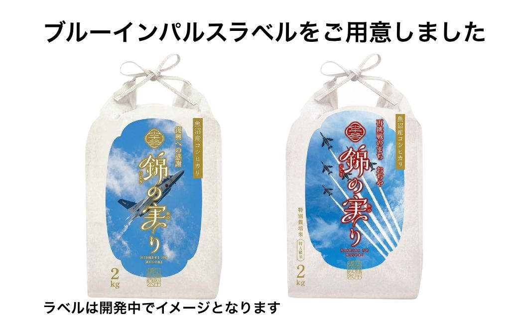 令和7年産 魚沼産コシヒカリ 小千谷市ブランド認証米「錦の実り」特Aランク ブルーインパルスラベル 精米4kg（2kg2袋セット）【0002-0447】