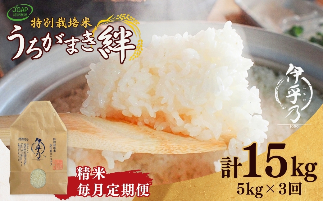 【JGAP認証農場】令和7年産 魚沼産コシヒカリ 特別栽培米「伊乎乃」 精米計15kg（5kg×1袋） 定期便毎月全3回 うちがまき絆 | 新潟県産 コシヒカリ お米 米 おこめ こめ コメ こしひかり 精米 白米 魚沼産 ブランド米【0002-UK11DB00-01】