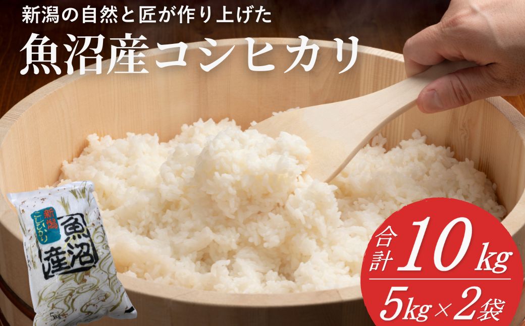 魚沼産コシヒカリ 精米10kg(5kg×2袋) 令和7年産 白米 共栄農工社 【0002-KY02-01】