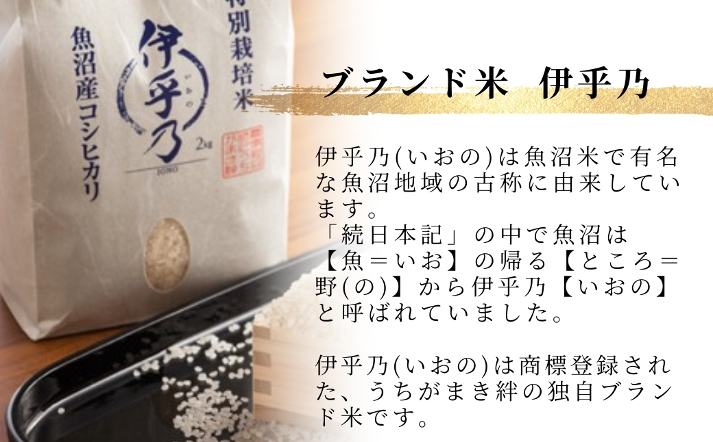 【JGAP認証農場】令和7年産 魚沼産コシヒカリ 特別栽培米「伊乎乃」 精米5kg うちがまき絆 | 新潟県産 コシヒカリ お米 米 おこめ こめ コメ こしひかり 白米 精米 魚沼産 ブランド米【0002-UK09-01】