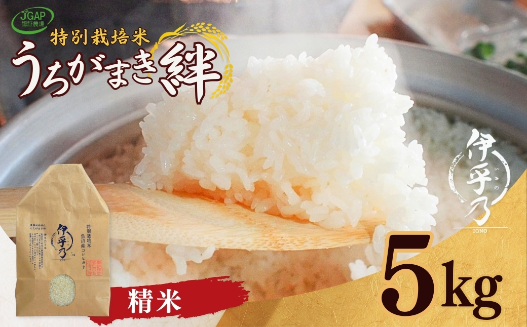 【JGAP認証農場】令和7年産 魚沼産コシヒカリ 特別栽培米「伊乎乃」 精米5kg うちがまき絆 | 新潟県産 コシヒカリ お米 米 おこめ こめ コメ こしひかり 白米 精米 魚沼産 ブランド米【0002-UK09-01】