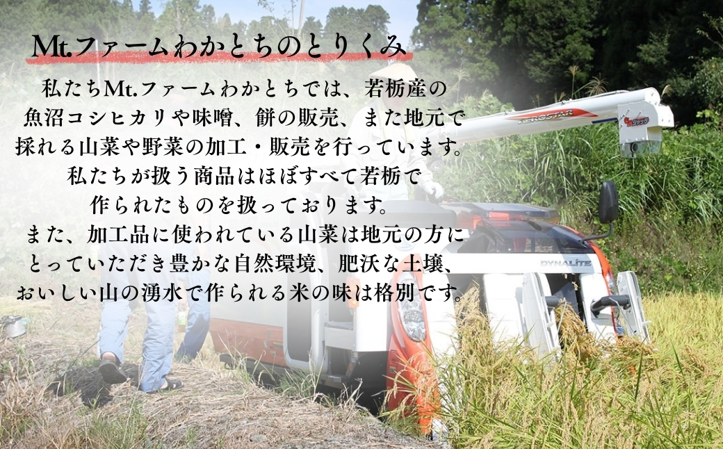 【期間限定】杵つき手のし餅「わかとちのもち」生白もち 500g×3個 Mt.ファームわかとち【0002-0292-01】