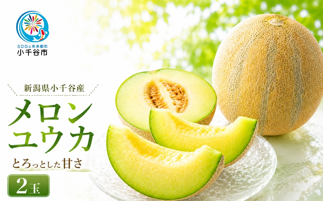 【 先行予約 数量限定 】 新潟県小千谷産 とろける甘さのユウカメロン 約2kg×2個 ( 7月下旬~8月上旬発送予定) 芳醇  甘い 旬 専門店 希少品種 優香 幻のメロン 令和8年産 2026年発送 農園ビギン 新潟県 小千谷市 【0002-0248】