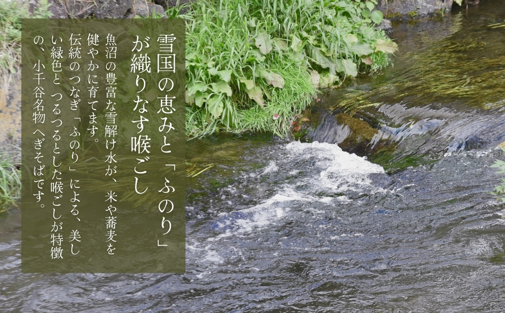 雜雁セ悟ー丞鴻隹キ縺ク縺弱◎縺ー 12譚 蟶豬キ闍(縺オ縺ョ繧) 阨朱コヲ 繧ス繝 雜雁セ悟ー丞鴻隹キ縺溘°縺ョ 縲0002-0041-01縲