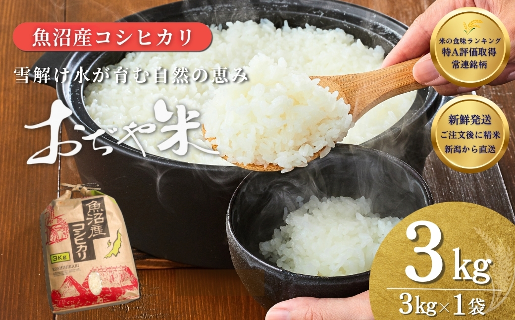 令和7年産 魚沼産コシヒカリ「おぢや米」 計3kg（3kg×1袋） クラフト袋 JA魚沼【0002-JA12-01】