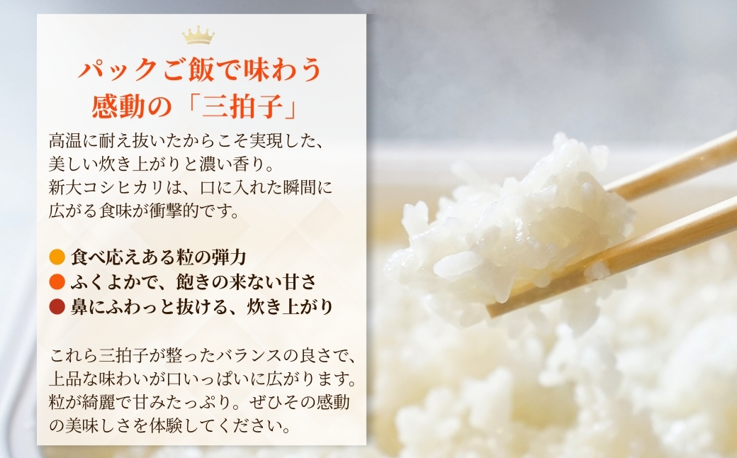 æ°å€§ã³ã·ãã«ãª ããã¯ã飯 180gÃ30å ããã® | æ°æœçç£ ã³ã·ãã«ãª ãç±³ ç±³ ããã²ãã ããã¯ãã¯ã ããã¯ã©ã€ã¹ å°åè°·åžæ œå¹ éçº20幎 æ°æœå€§åŠã0002-0429SV03-01ã
