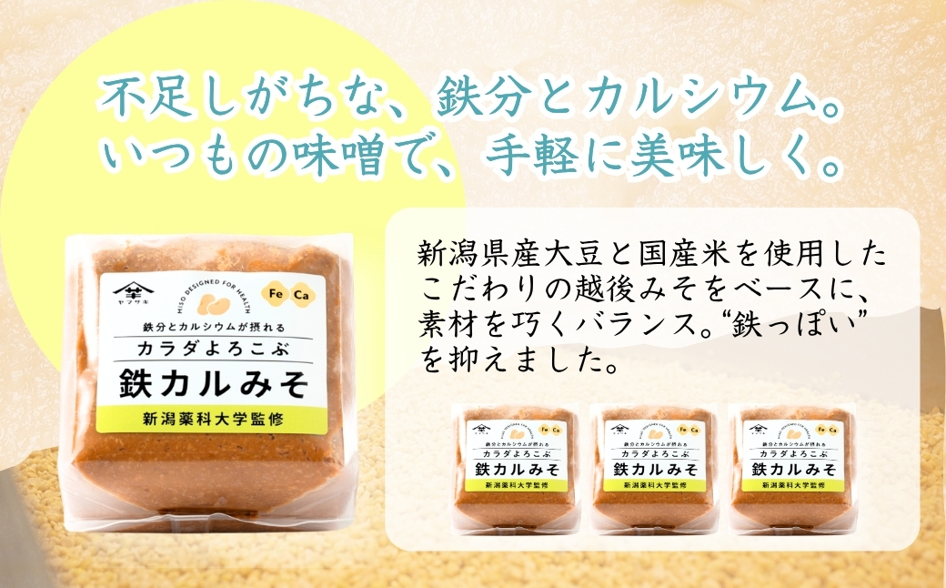 カラダよろこぶ鉄カルみそ (700g×4個入) 新潟薬科大学監修 鉄分とカルシウムが摂れる 山崎醸造 【0002-0299-01】