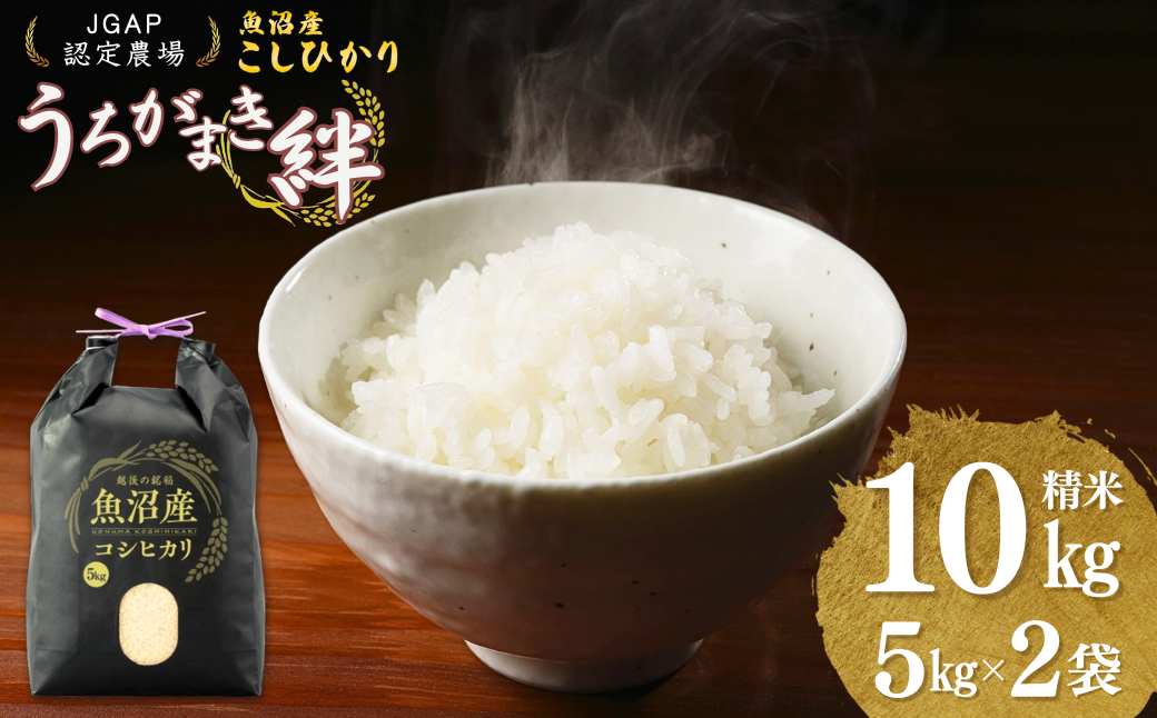 【JGAP認証農場】令和7年産 魚沼産コシヒカリ 精米10kg(5kg×2袋) うちがまき絆 | 新潟県産 コシヒカリ お米 米 おこめ こめ コメ こしひかり 精米 白米 魚沼産 ブランド米 人気 おすすめ 産地直送【0002-UK02-02】