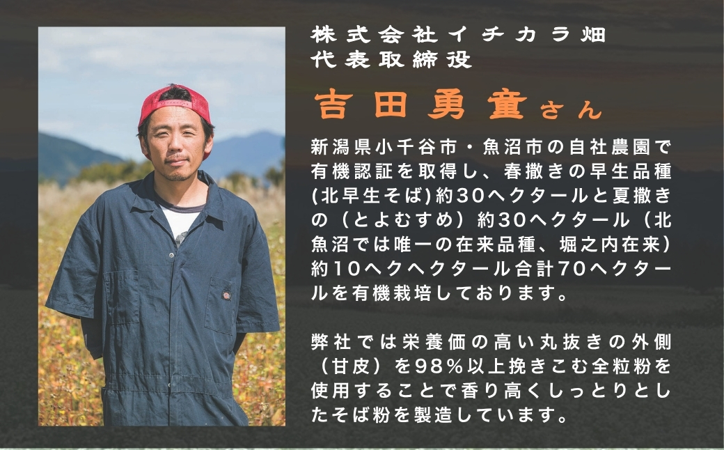有機そば全粒粉使用　有機栽培のインスタント蕎麦「イチカラそば」30食入 イチカラ畑 【0021-0007-01】