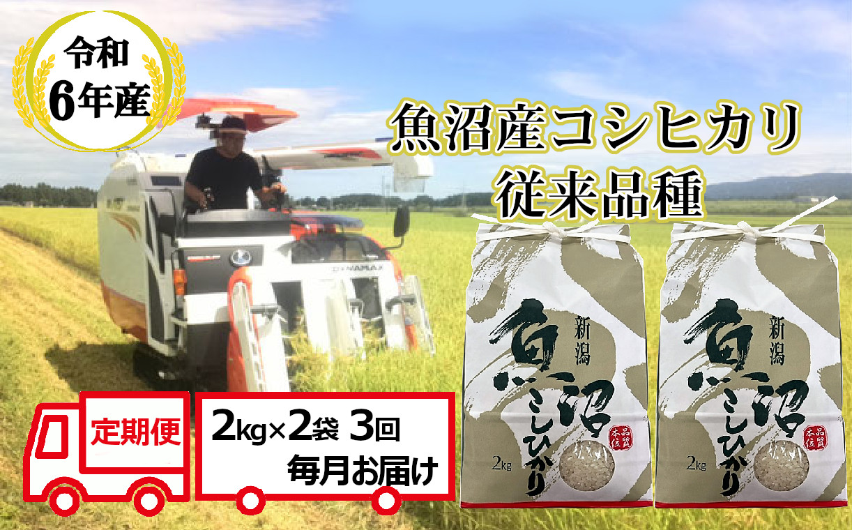 N36P484 【令和6年産 定期便】昔ながらの魚沼産コシヒカリ2kg2袋×3回（3ヶ月連続お届け）（毎月お届け）【従来品種】農園ビギン 白米 精米 米 魚沼 魚沼産 新潟県 小千谷市