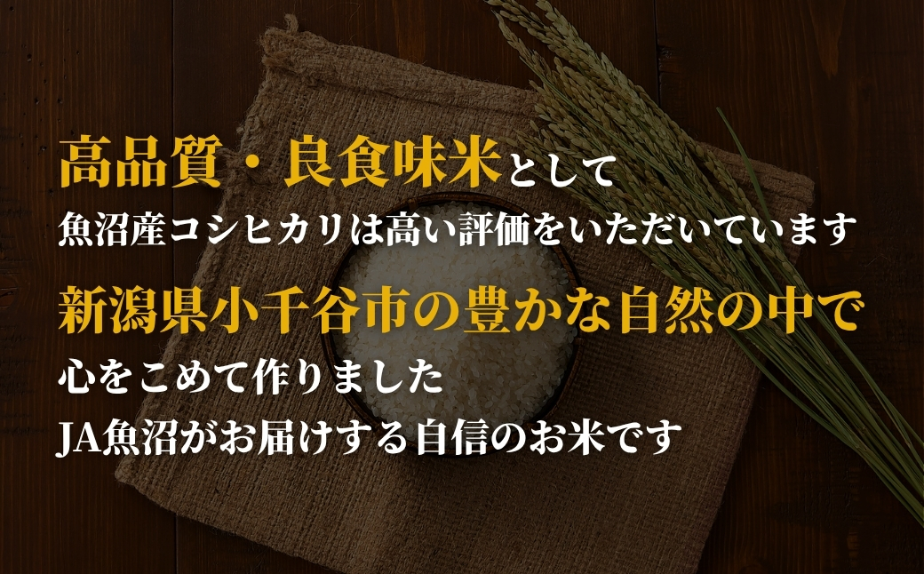 什å7å¹Žç£ éæ²Œç£ã³ã·ãã«ãª 3kgÃ2è¢ ã¯ã©ããè¢ JAéæ²Œ