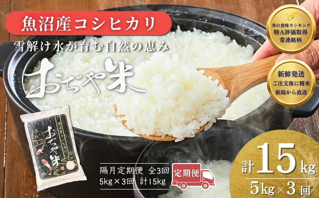 【令和7年産】新潟産コシヒカリ「おぢや米」 定期便 15kg（5kg×3回）
