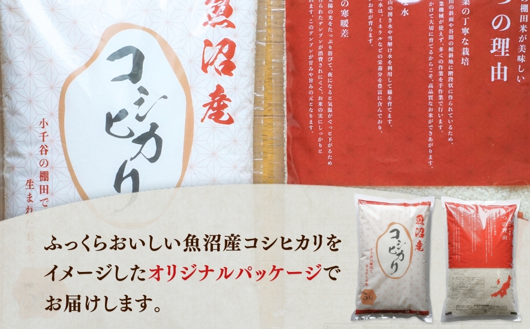 令和7年産 魚沼産コシヒカリ おぢや棚田米コンテスト入賞者の栽培した棚田米 精米45kg（5kg×9回）定期便毎月発送【0002-RC06DB00-02】