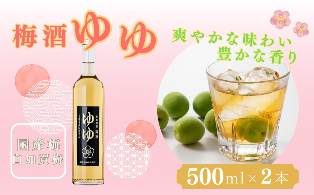 梅酒ゆゆ 梅酒500ml×2本 国産梅 白加賀梅 梅酒 米焼酎 新潟銘醸 【0002-0032-01】