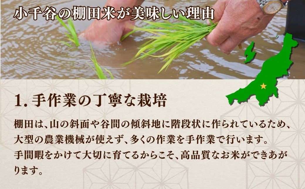 令和7年産 魚沼産コシヒカリ おぢや棚田米コンテスト入賞者の栽培した棚田米 精米45kg（5kg×9回）定期便毎月発送【0002-RC06DB00-02】