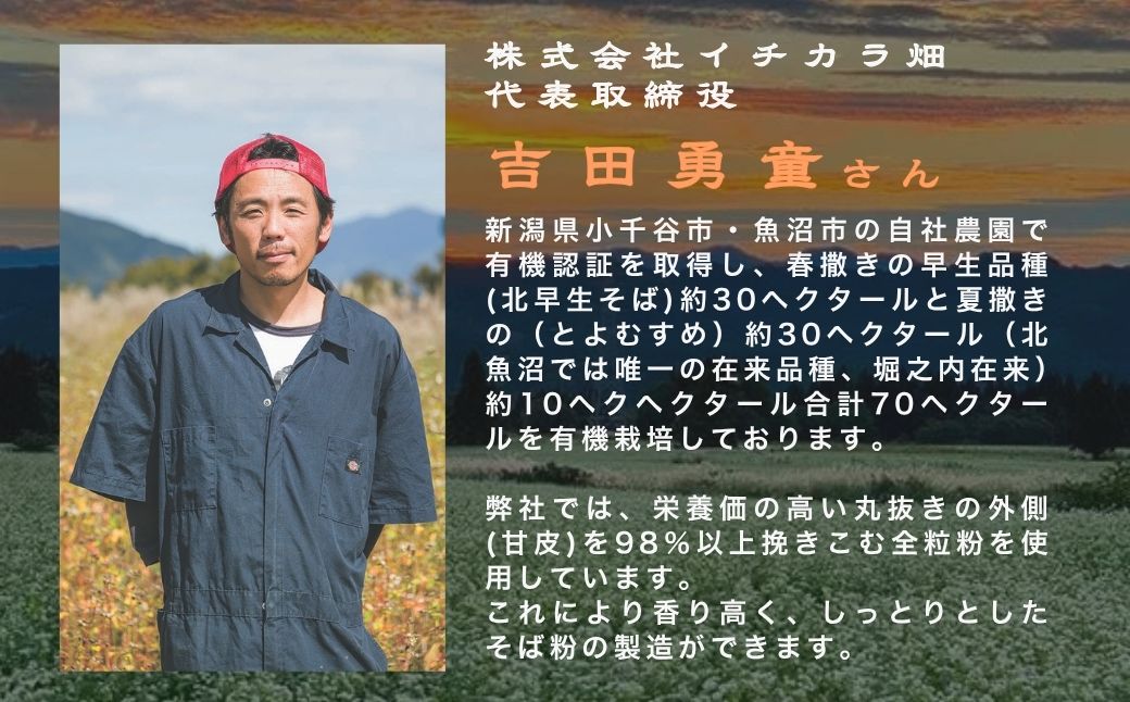 【無農薬栽培の玄そば100％使用】雪室そば ふのり乾麺 180g×12個セット(オーガニック・無農薬栽培) イチカラ畑 【0021-0002-01】