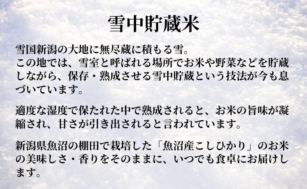 魚沼産コシヒカリ 雪中貯蔵米パックご飯 12個セット ごはんソムリエ監修 たかの 【0002-0195-02】