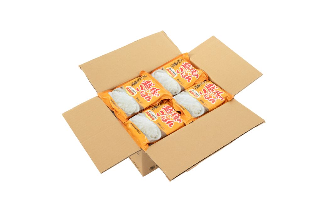 いざという時の越後のごはん20食セット 【5年保存・国産米使用】 非常食・防災・キャンプに便利なレトルトご飯 越後製菓 【0017-0007-01】