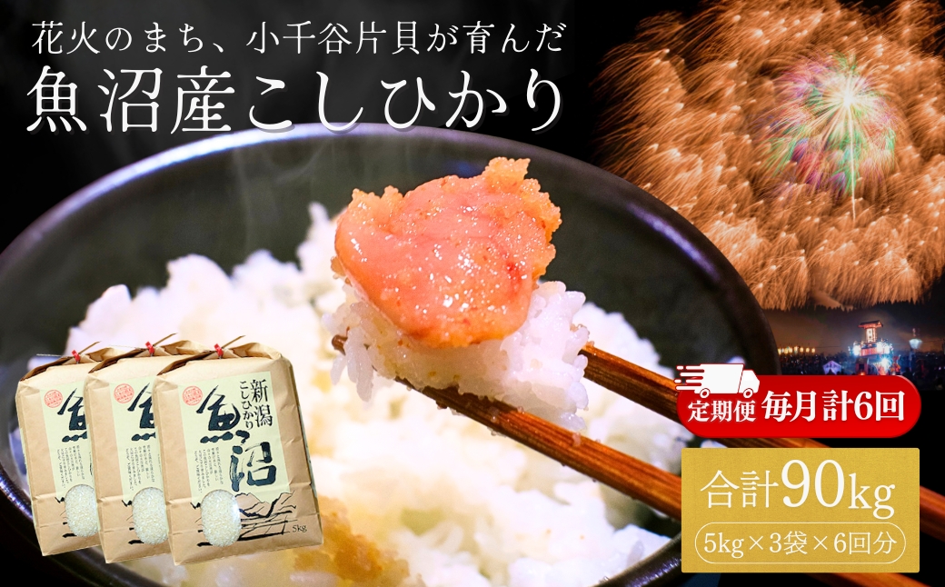 [定期便]令和7年産 魚沼産コシヒカリ 15kg (5kg×3袋) × 6回 (計90kg) 毎月お届け 米萬商店 | 半年コース 四尺玉の町・片貝産 新潟 白米 頒布会 産地直送 老舗米屋の厳選米[0002-KM13DB00-01]