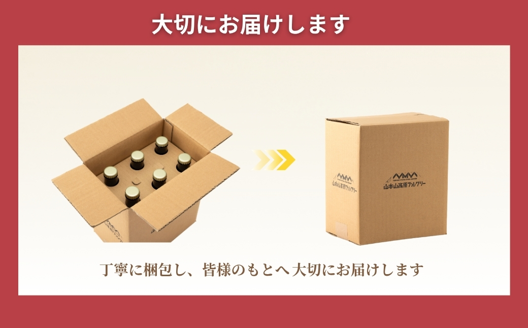 クラフトビール 定番2種飲み比べ 計6本(330ml×各3本) IPA＆ホワイトエール 地ビール ご当地 新潟  山本山高原ブルワリー 【0002-0288-02】