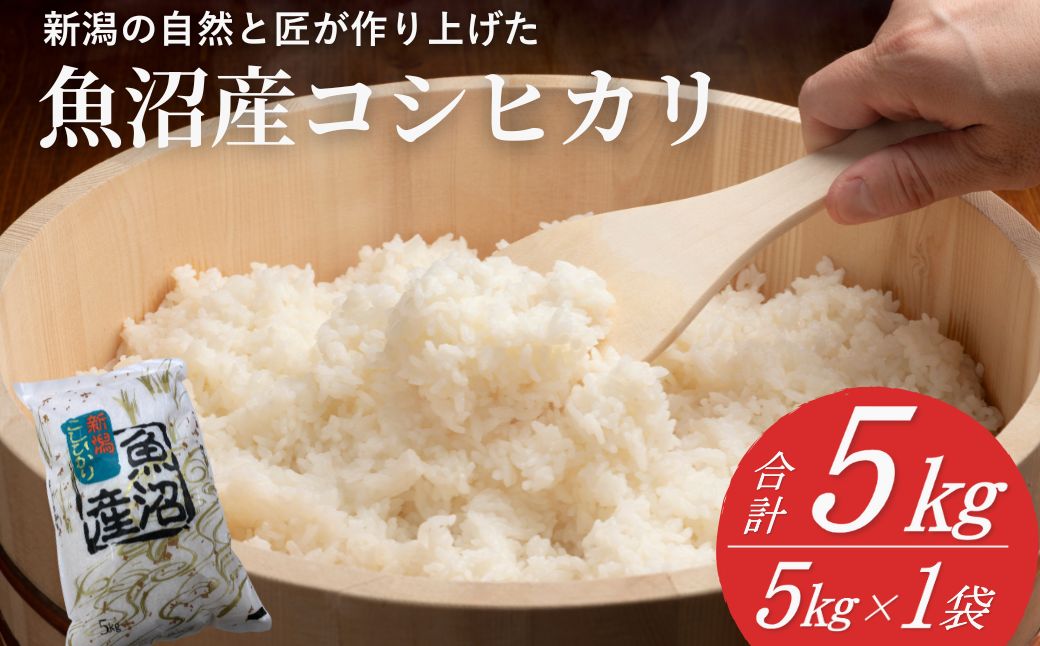 魚沼産コシヒカリ 精米5kg(5kg×1袋) 令和7年産 白米 共栄農工社 【0002-KY01-01】