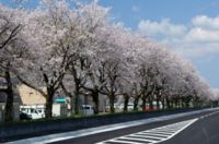 3　心豊かに、いきいき暮らせるまちづくり