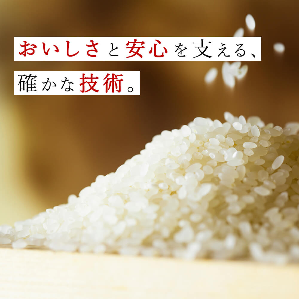 【6か月定期便】R7年産 新潟県産 こしいぶき 5kg （精米）