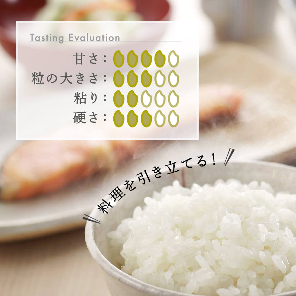 【6か月定期便】R7年産 新潟県産 こしいぶき 5kg （精米）