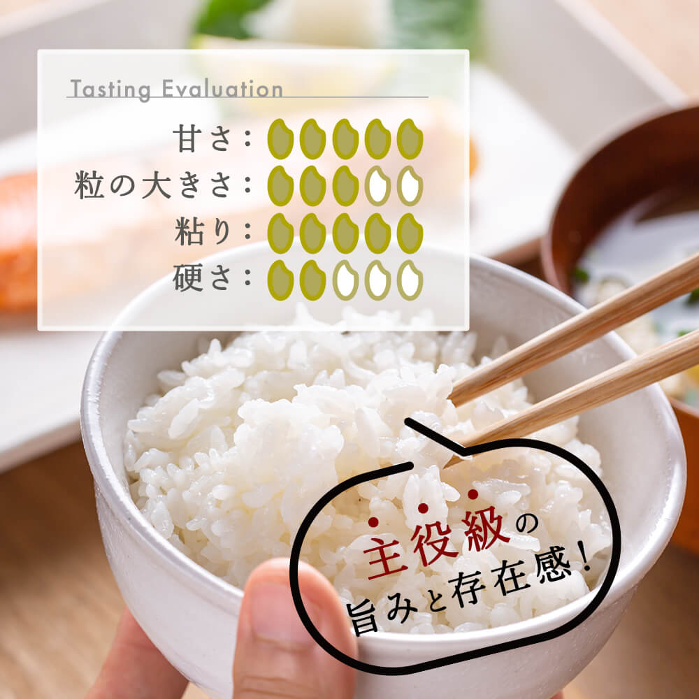 令和7年産 新潟県産 コシヒカリ 2kg 無洗米 新米 お米 白米 コシヒカリ こしひかり おすすめ 人気 こめ コメ 新潟 見附 見附市 7年 2025年産 ふるさと納税 諸長