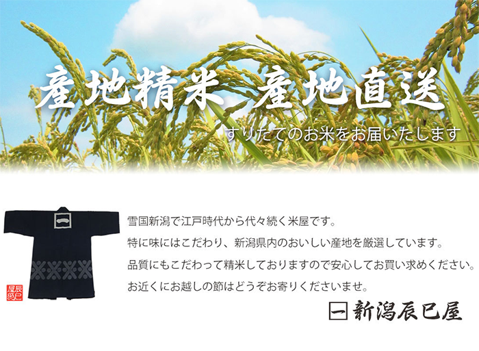 新潟コシヒカリ 令和7年産 精米10kg