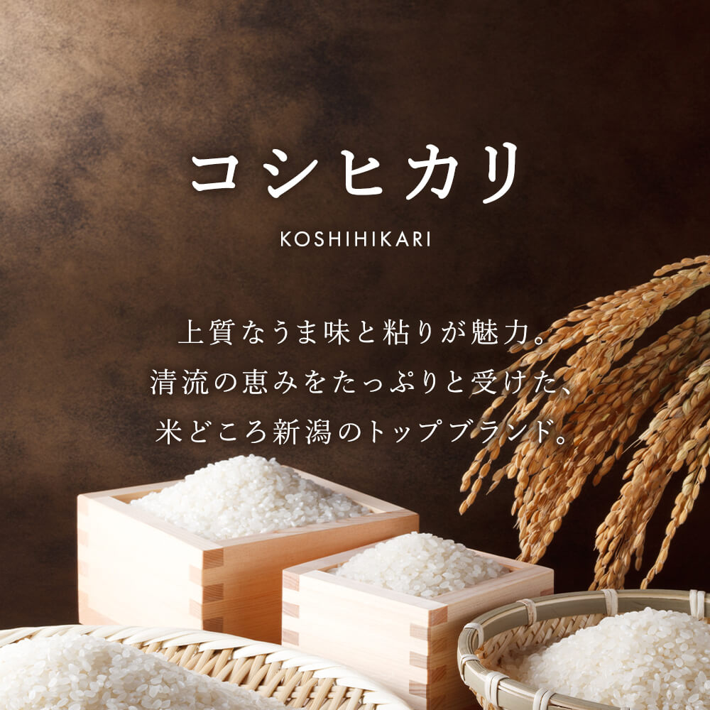 縲3縺区怦螳壽悄萓ソ縲然7蟷エ逕」 譁ー貎溽恁逕」 繧ウ繧キ繝偵き繝ェ 5kg シ育イセ邀ウシ臥アウ 縺顔アウ 逋ス邀ウ 繧ウ繧キ繝偵き繝ェ 縺薙@縺イ縺九j 縺翫☆縺吶a 莠コ豌 縺薙a 繧ウ繝。 譁ー貎 隕矩刋 隕矩刋蟶 7蟷エ 2025蟷エ逕」 縺オ繧九&縺ィ邏咲ィ 隲ク髟キ