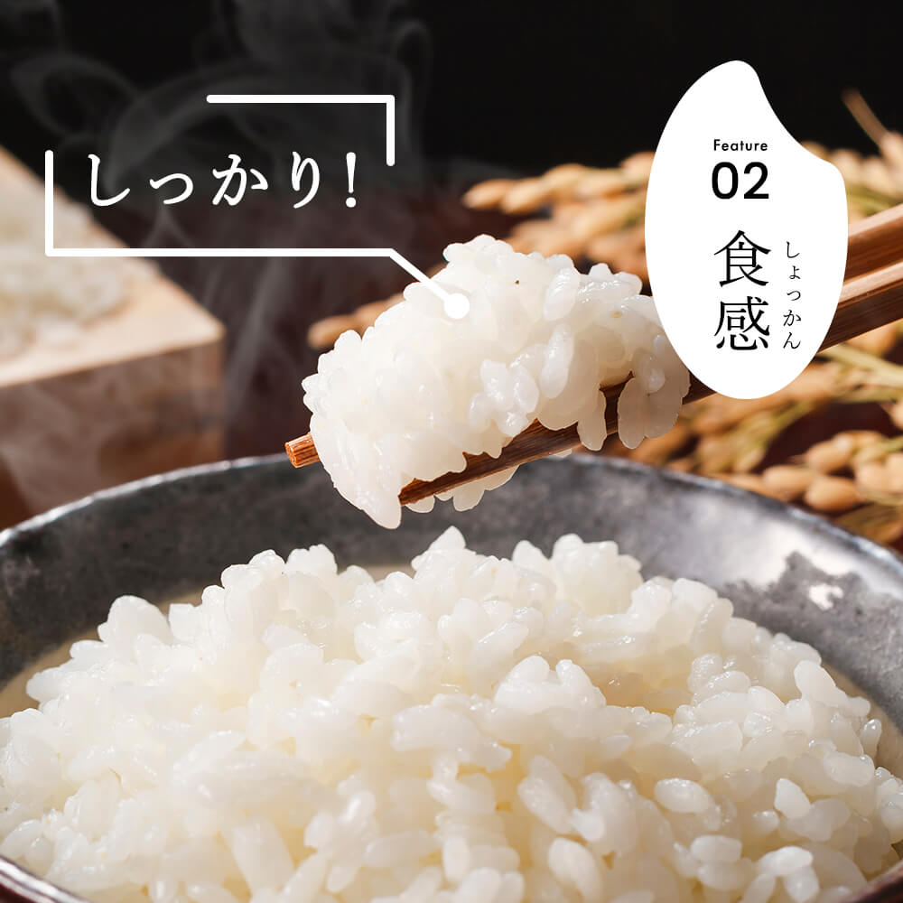 【6か月定期便】R7年産 新潟県産 こしいぶき 5kg （精米）