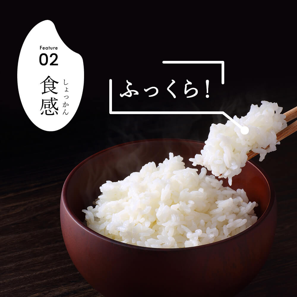 令和7年産 新潟県産 コシヒカリ 2kg 無洗米 新米 お米 白米 コシヒカリ こしひかり おすすめ 人気 こめ コメ 新潟 見附 見附市 7年 2025年産 ふるさと納税 諸長