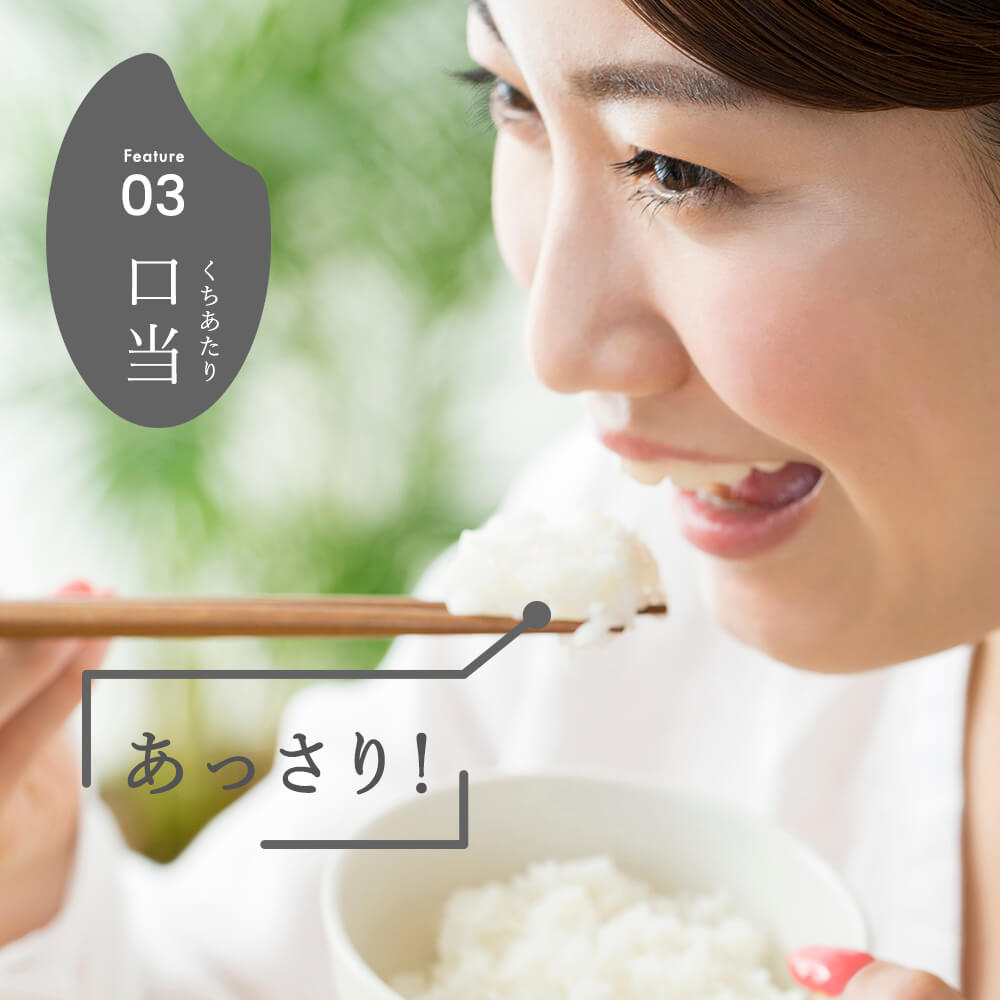 【3か月定期便】R7年産 新潟県産 こしいぶき 10kg （精米）