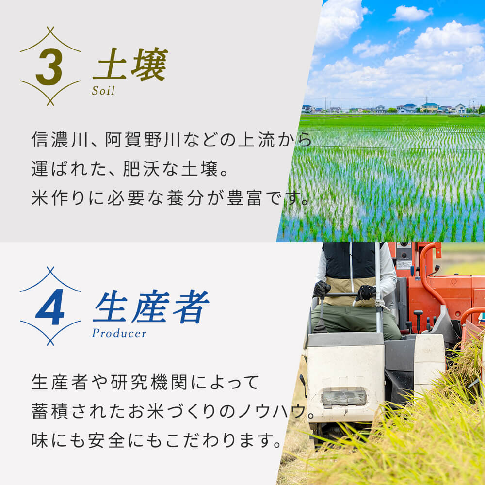 【3か月定期便】R7年産 新潟県産 こしいぶき 5kg （精米）