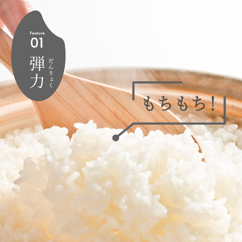 【3か月定期便】R7年産 新潟県産 こしいぶき 10kg （精米）