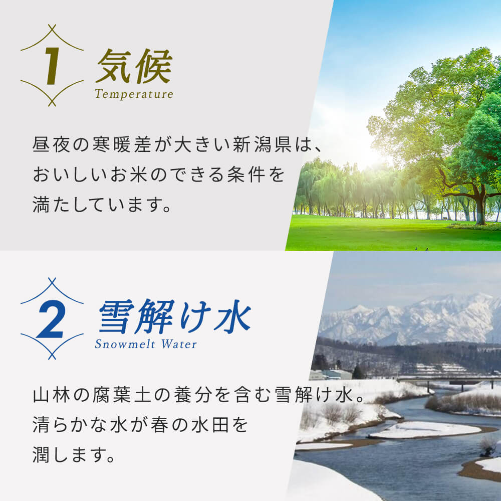 【3か月定期便】R7年産 新潟県産 こしいぶき 5kg （精米）