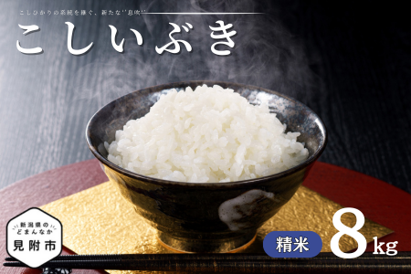令和7年産 新潟県産 こしいぶき 8kg 精米 新米 お米 白米 コシヒカリ こしひかり おすすめ 人気 こめ コメ 新潟 見附 見附市 7年 2025年産 ふるさと納税 諸長