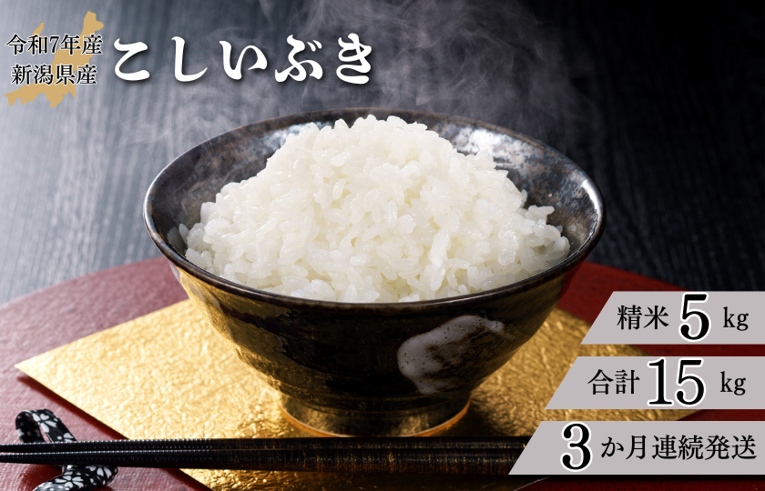 【3か月定期便】R7年産 新潟県産 こしいぶき 5kg （精米）