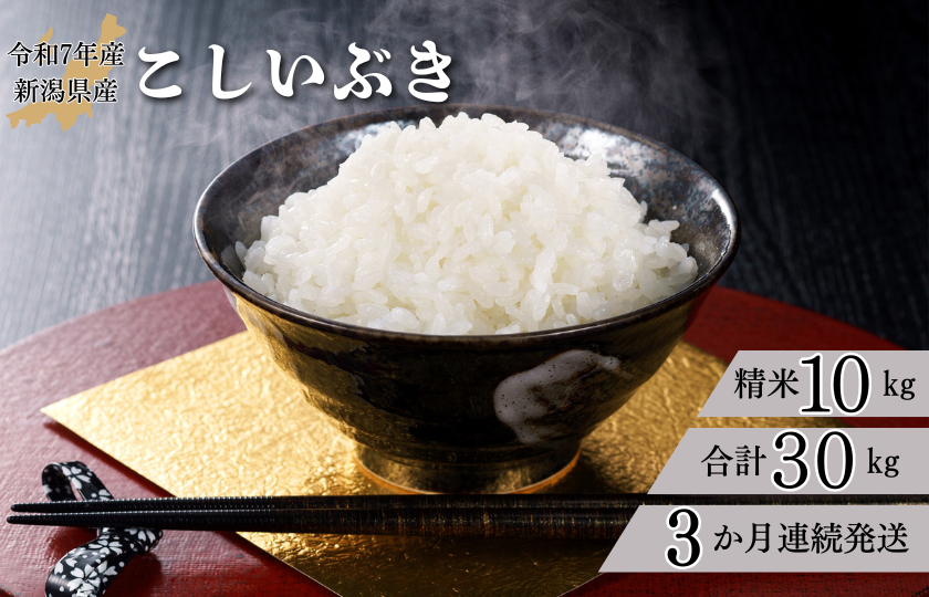 【3か月定期便】R7年産 新潟県産 こしいぶき 10kg （精米）