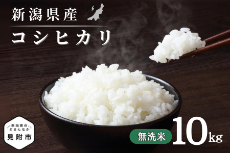 令和7年産 新潟県産 コシヒカリ 10kg 無洗米 新米 お米 白米 コシヒカリ こしひかり おすすめ 人気 こめ コメ 新潟 見附 見附市 7年 2025年産 ふるさと納税 諸長