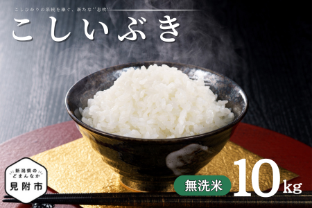 令和7年産 新潟県産 こしいぶき 10kg 無洗米 新米 お米 白米 コシヒカリ こしひかり おすすめ 人気 こめ コメ 新潟 見附 見附市 7年 2025年産 ふるさと納税 諸長