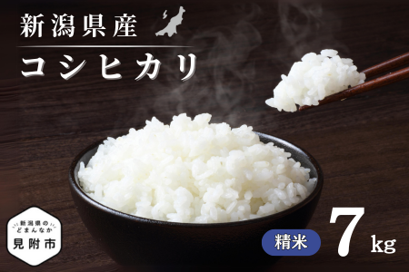 令和7年産 新潟県産 コシヒカリ 7kg 精米 新米 お米 白米 コシヒカリ こしひかり おすすめ 人気 こめ コメ 新潟 見附 見附市 7年 2025年産 ふるさと納税 諸長
